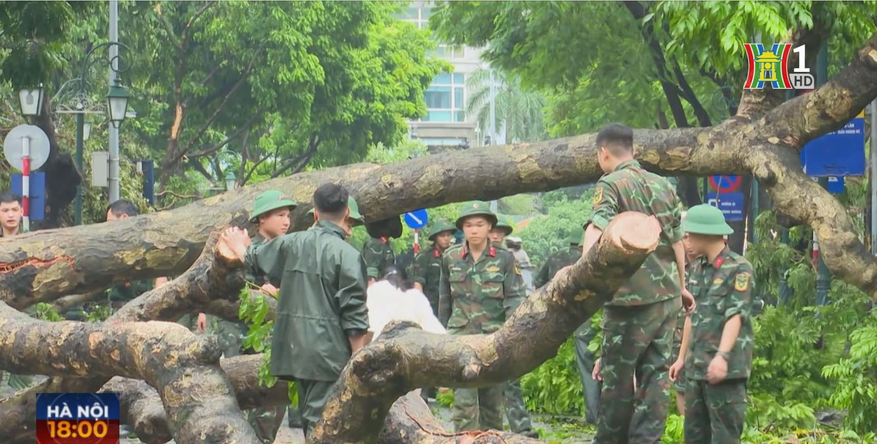  Từ đêm qua, các lực lượng chức năng của Hà Nội cũng đã toả đi các con đường, ngõ phố thu dọn các cây xanh bị gãy đổ.